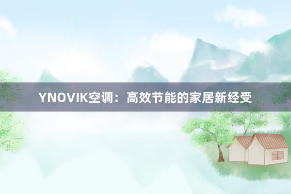 YNOVIK空调：高效节能的家居新经受